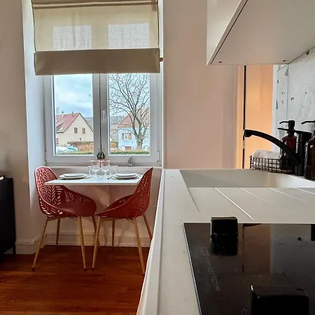 Apartment Le Grenat Cosy - Route Des Vins - Proche Colmar
