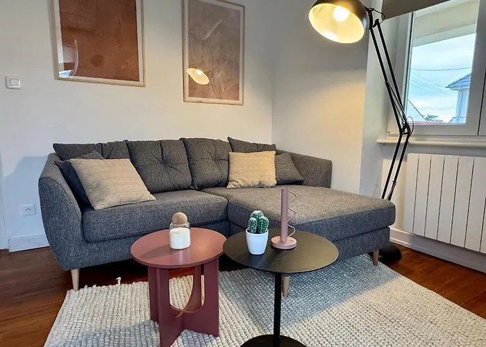 Le Grenat Cosy - Route Des Vins - Proche Colmar *